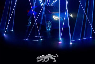 Image principale de l'actu: Ford Puma, il est de retour !