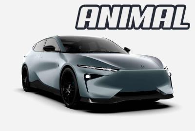 Image principale de l'actu: LIUX Animal : c’est une voiture électrique, pas chère et européenne