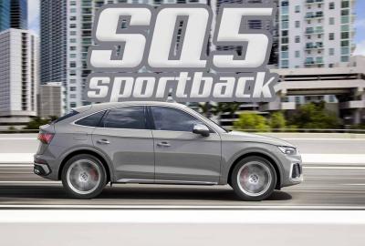 Image principale de l'actu: Voici le nouveau Audi SQ5 TDI en version Sportback