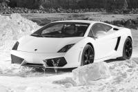 Exterieur_Lamborghini-Gallardo-LP560-4_1
                                                        width=