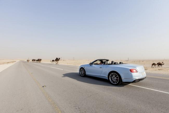 La bentley continental gtc v8 s en promenade dans le desert 