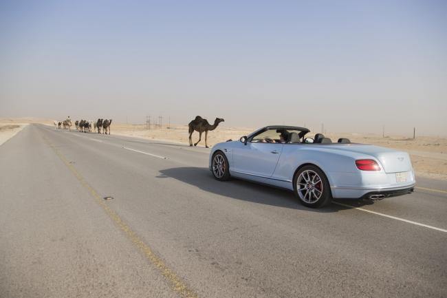 La bentley continental gtc v8 s en promenade dans le desert 