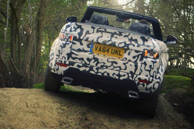 Le range rover evoque cabriolet s aventure entre les arbres 