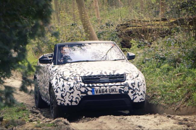 Le range rover evoque cabriolet s aventure entre les arbres 