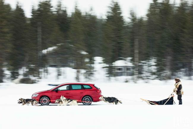 Seat Leon Cupra : 6 huskys contre 300 chevaux