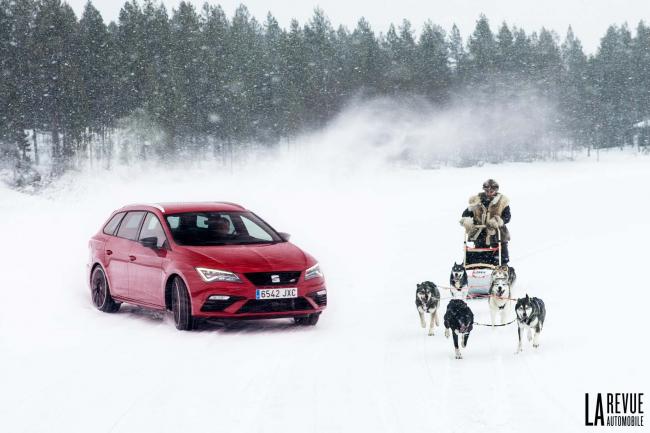 Seat Leon Cupra : 6 huskys contre 300 chevaux