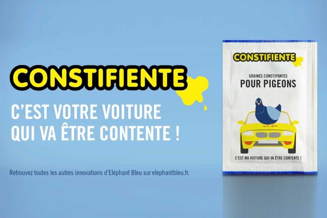 Elephant bleu avec constifiente les agressions de pigeons c est fini 