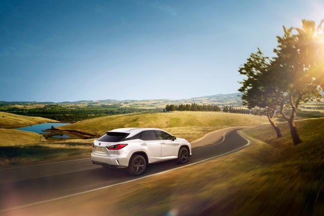 Lexus rx sport pour un look plus dynamique 