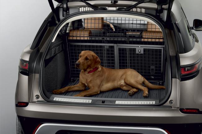 Land rover veut devenir le meilleur ami des chiens 