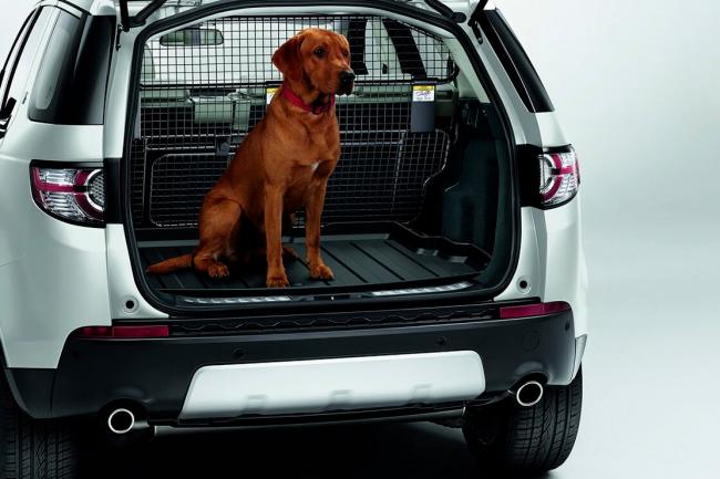 Land rover veut devenir le meilleur ami des chiens 