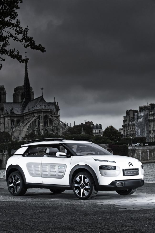 Exterieur_Citroen-C4-Cactus-2014_1