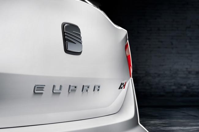 Exterieur_Seat-Ibiza-Cupra-2013_2