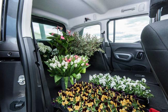 Nouveau Toyota PROACE CITY : merci Peugeot-Citroën