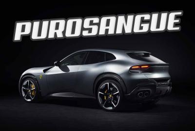 Image principale de l'actu: Ferrari Purosangue : le + sensuel des SUV est un cheval cabré