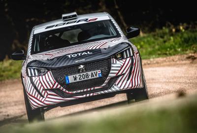 Image principale de l'actu: La nouvelle Peugeot 208 s’attaque au Rallye avec un 3 cylindres !