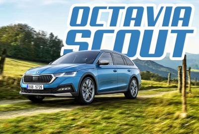 Image principale de l'actu: La nouvelle Skoda Octavia Combi est également en SCOUT