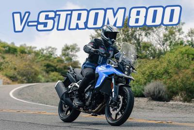 Image principale de l'actu: Nouvelle Suzuki V-STROM 800 : l'aventure, la nature et un Twin