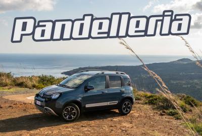 Image principale de l'actu: « Pandelleria », le pays des Panda