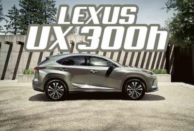 Image principale de l'actu: Quelle Lexus NX 300h acheter/choisir ? Prix et nouvelles finitions