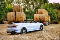 Exterieur_Audi-A3-Cabriolet-TFSI_15
                                                        width=