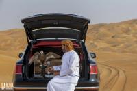 Exterieur_Bentley-Bentayga-Falconry_12