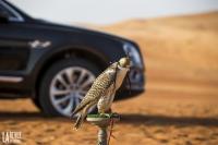 Exterieur_Bentley-Bentayga-Falconry_1