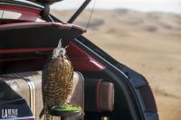 Interieur_Bentley-Bentayga-Falconry_23