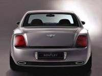 Exterieur_Bentley-Continental-Flying-Spur_8