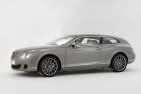 Exterieur_Bentley-Continental-Flying-Star_4
                                                        width=