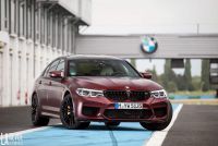 Exterieur_Bmw-M5-F90_21
                                                        width=