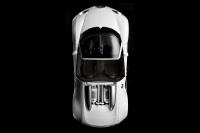 Exterieur_Bugatti-Veyron-Grand-Sport_4