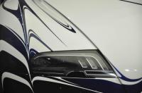 Exterieur_Bugatti-Veyron-Or-Blanc_9
                                                        width=