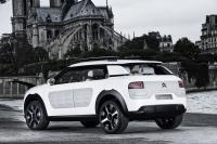 Exterieur_Citroen-C4-Cactus-2014_6
                                                        width=