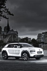 Exterieur_Citroen-C4-Cactus-2014_1
                                                        width=