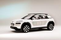 Exterieur_Citroen-Cactus_9