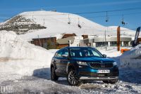 Exterieur_Comparatif-Skoda-Kodiaq-Scout-VS-Fiat-Panda-Cross_29
                                                        width=