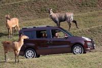 Exterieur_Fiat-Doblo-2010_8