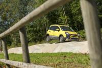 Exterieur_Fiat-Panda-Cross_36