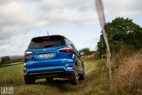 Exterieur_Ford-Fiesta-Active-SUV_2