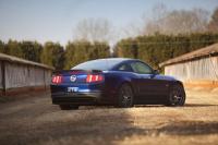 Exterieur_Ford-Mustang-RTR_10
                                                        width=