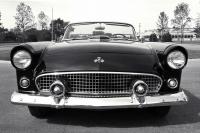 Exterieur_Ford-Thunderbird-1955_3
                                                        width=