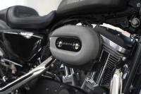 Interieur_Harley-Davidson-Sporster-Roadster_7