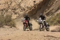 Exterieur_Honda-Africa-Twin_0
                                                                        width=