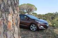 Exterieur_Hyundai-i30-CRDi-128-BVA_13