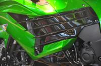 Exterieur_Kawasaki-ZZR-1400-2012_4
                                                        width=