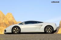 Exterieur_Lamborghini-Gallardo-LP560-4_20
                                                        width=