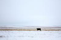 Exterieur_LifeStyle-Dodge-The-Farmer-All-of-Us_9