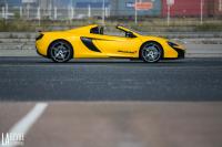 Exterieur_McLaren-650S-Spider-2016_4
                                                        width=