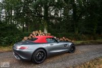 Exterieur_Mercedes-AMG-GT-Roadster-2017_22
                                                        width=