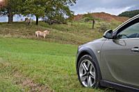 Exterieur_Opel-Insignia-Country-Tourer-2014_5